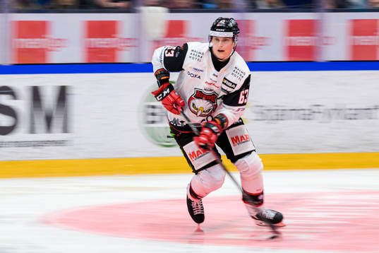 Malmö Redhawks Fredrik Händemark