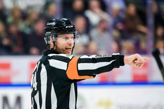 Domare Johan Magnusson