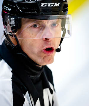 Domare Mikael Andersson