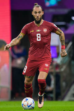 Nemanja Gudelj of Serbia
