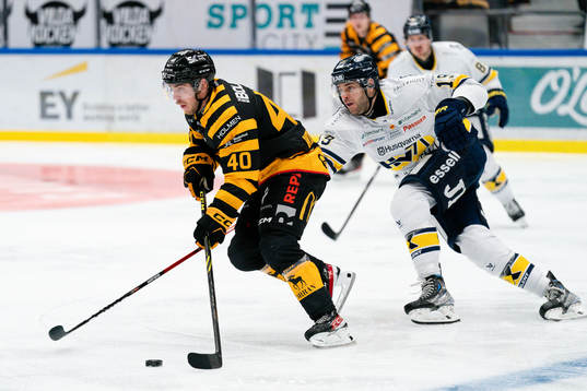 Skellefteås Andreas Wingerli och HV71s Sam Vigneault