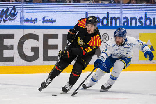 Leksands Lian Bichsel  jagas av Leksands Oskar Lang