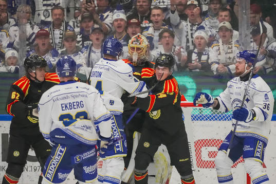 Leksands Carter Ashton och Brynäs Alexander Ljungkrantz