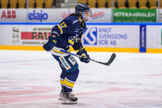 HV71s Danielle Stone