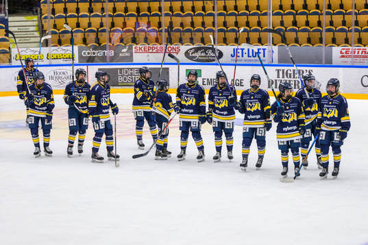 HV71 jublar och tackar fansen