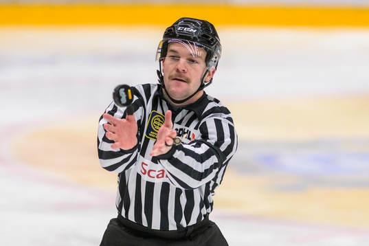 Domare fångar pucken