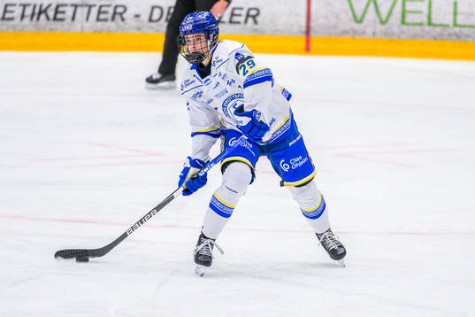 Leksands Annika Fazokas