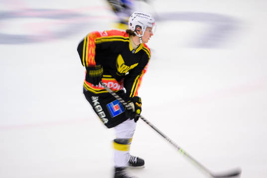 Västerås Sakari  Salminen