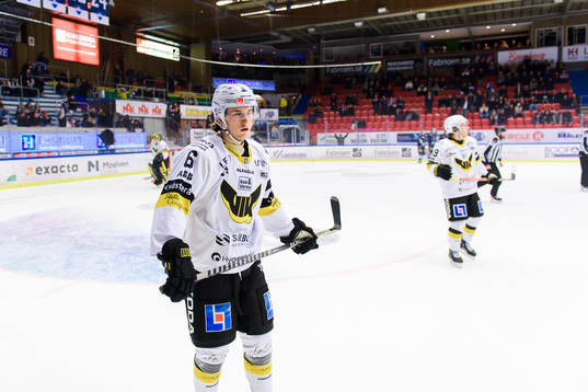 Västerås Zeteny Hadobas deppar
