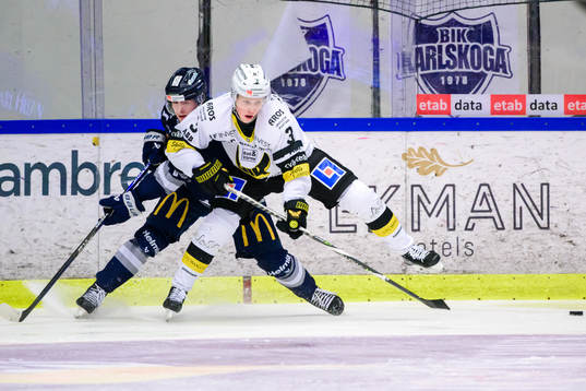 Västerås Ludvig Östman