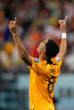 Cody Gakpo of Netherlands celebrates