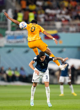 Cody Gakpo of Netherlands and Piero Hincapie of Ecuador