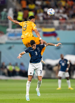 Cody Gakpo of Netherlands and Piero Hincapie of Ecuador