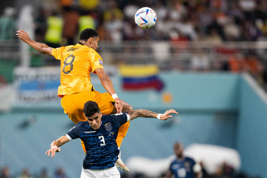 Cody Gakpo of Netherlands and Piero Hincapie of Ecuador