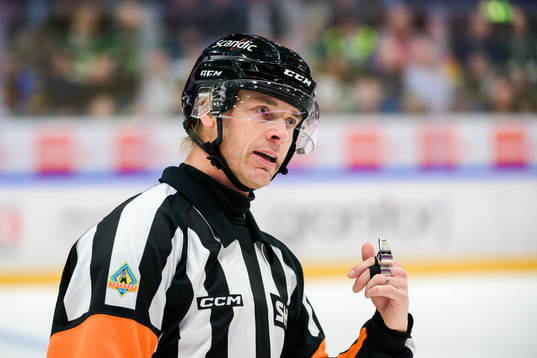 Domare Mikael Andersson