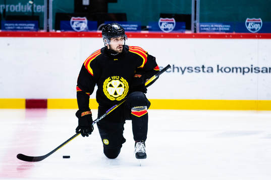 Brynäs Niklas Friman
