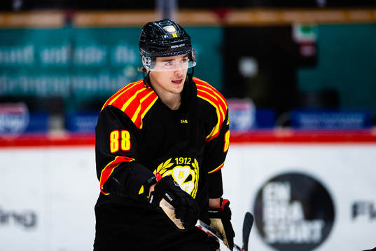 Brynäs Dmytro Timashov