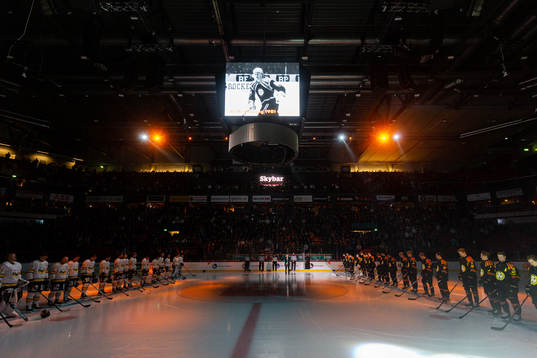 Monitor ERP Arena