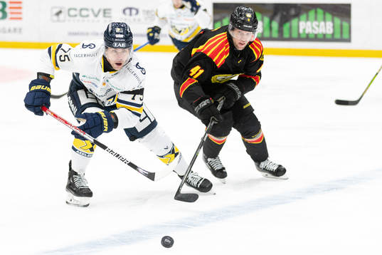 HV71s Radan Lenc och Brynäs Greg Scott