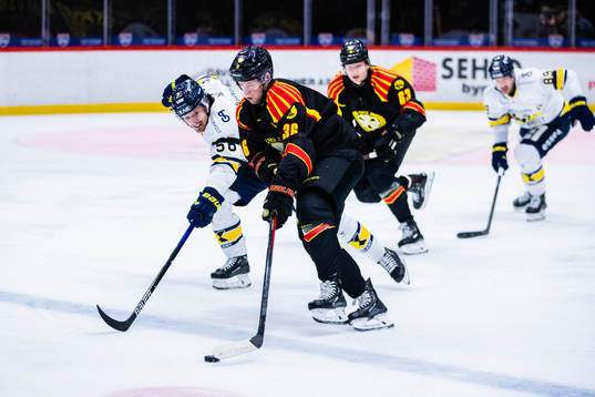 s Fredrik Forsberg och Brynäs Linus Ölund