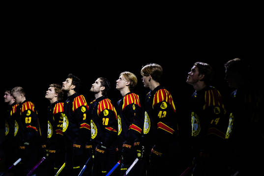 Brynäs spelare