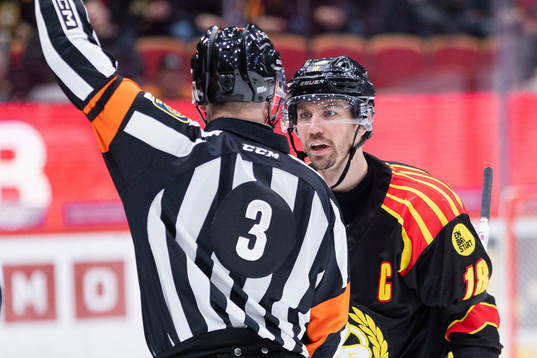 Brynäs Anton Rödin reagerar på domslut