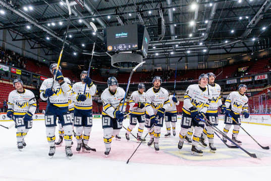 HV71s spelare jublar