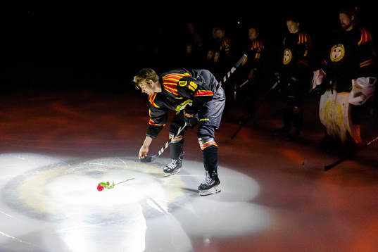 Bläddra bland fler bilder av Ishockey, SHL, Brynäs - HV71