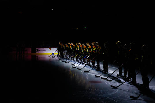 Brynäs spelare