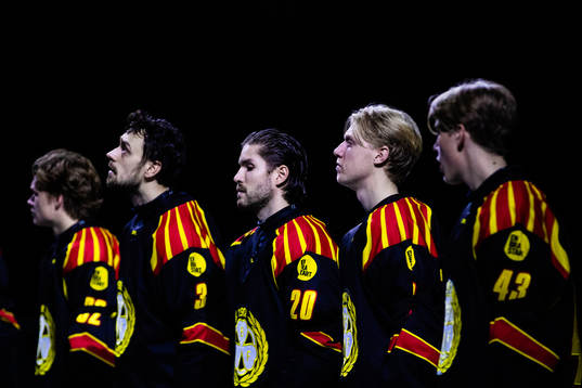 Brynäs spelare