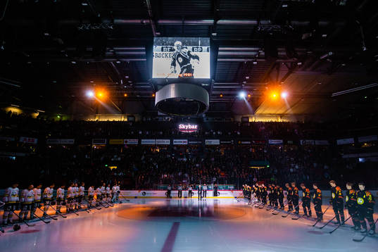 Monitor ERP Arena