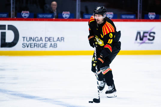 Brynäs Anton Rödin