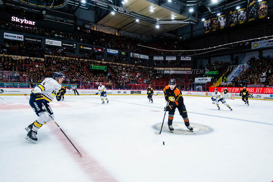Monitor ERP Arena