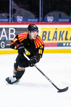 Brynäs Dmytro Timashov