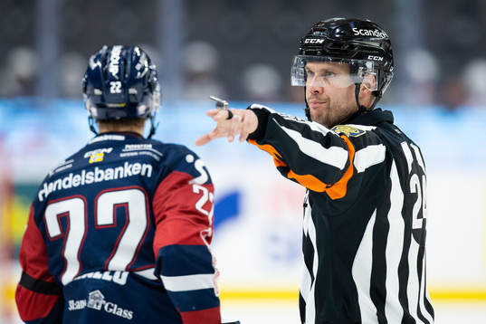 Domare Johan Magnusson