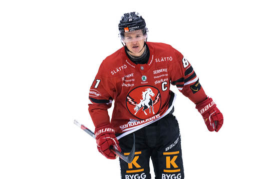 Vita Hästens Eric Borg jublar