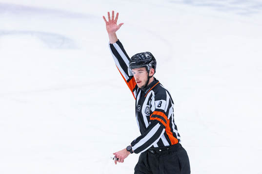 Domare Oskar Niklasson