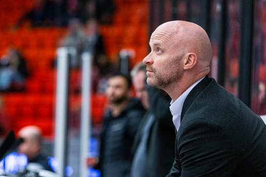 Vita Hästens assisterande tränare Tim Brithen