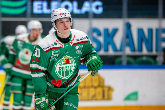 Rögles Viktor Smeds