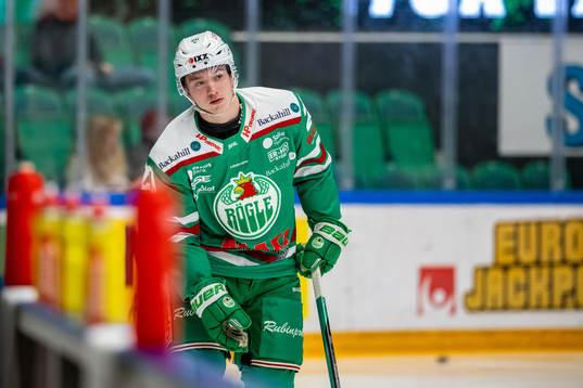 Rögles Viktor Smeds
