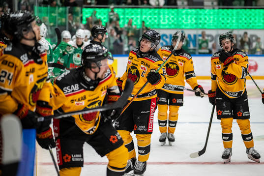 Luleås Erik Gustafsson  deppar