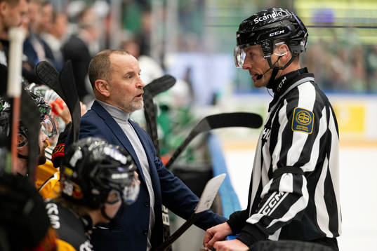 Luleås tränare Thomas Berglund reagerar på domslut