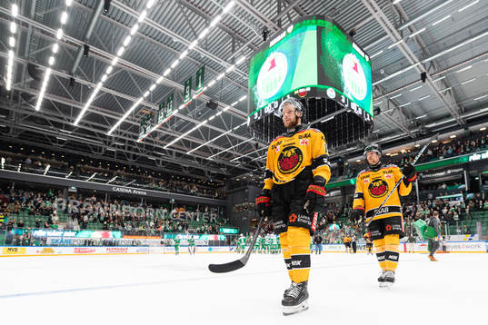 Luleås Einar Emanuelsson och Brendan Shinnimin deppar