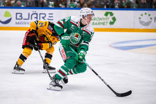 Rögles Adam Engström