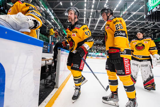 Luleås Leo Komarov  och Marcel Stefancik  deppar