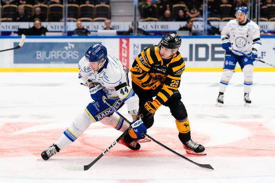 Leksands Carter Ashton och Skellefteås Albin Sundsvik