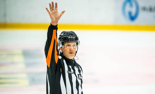 Domare Mikael Nord