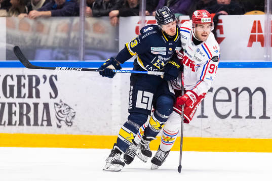 Bläddra bland fler bilder av Ishockey, SHL, HV71 - Timrå