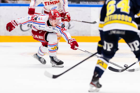 Timrås Sebastian Hartmann