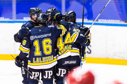Spelare ur HV71 jublar